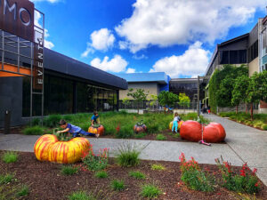 A photo of children playing on Briona Hendren's giant tomato sculpture installation at SOMO Village in Rohnert Park, CA.