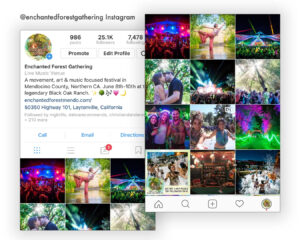 Enchanted Forest Gathering Instagram